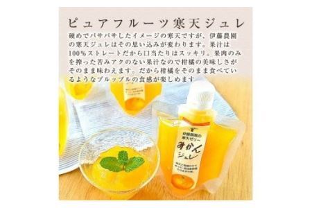 伊藤農園 ピュアフルーツ寒天ジュレドリンクタイプ あまなつ 12本セット(B639-2)