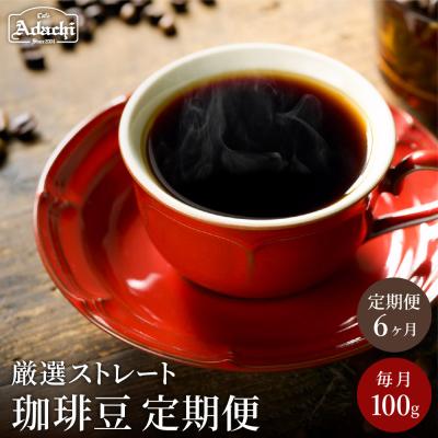ふるさと納税 関市 【定期便】カフェ・アダチ 厳選ストレートコーヒー豆 毎月100g×6ヶ月TB-010