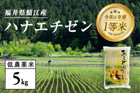 【令和6年産新米】福井県産 おしどり米 華越前 5kg＋黒米300g