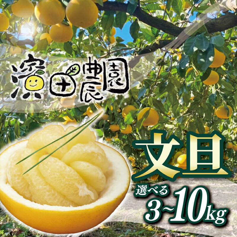 【ふるさと納税】 土佐文旦 選べる 容量 10kg 5kg 3kg 文旦 家庭用 ぶんたん ブンタン 柑橘 みかん フルーツ 果物 柚子 ゆず 高知県産 特産品 名産 贈答用 ギフト 贈り物 お歳暮 お中元 果汁 ジュース 産地直送 旬 冬 甘酸っぱい ビタミンC 宿毛市 高知県 濱田農園