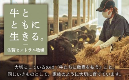 佐賀牛 焼肉用 食べ比べセット（希少部位2種） 600g / 牛肉 [IAH065]