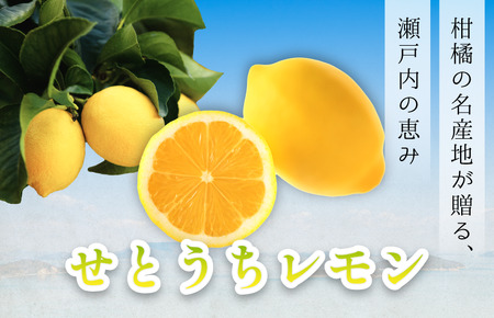 せとうちレモン　今治産　20kg【K002320KG20】