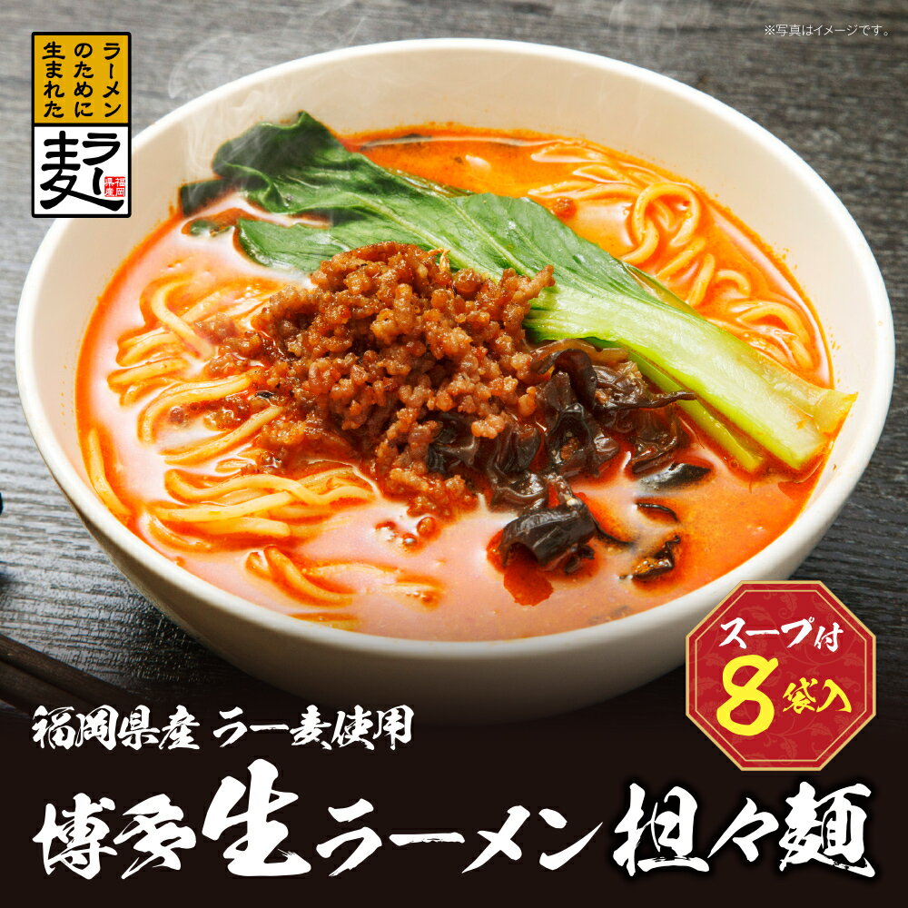【ふるさと納税】 福岡県産ラー麦 博多生ラーメン担々? 福岡 ラーメン ラー麦 アレンジ U16-18
