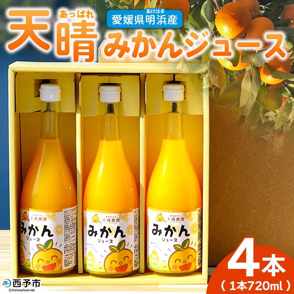 ＜愛媛県明浜産 天晴みかんジュース 720ml×4本セット＞ 蜜柑 みかん ミカン 果物 オレンジ 果汁 ジューシー フルーツ 温州みかん 飲料 ジュース 飲み物 セット 濃厚 株式会社笑丸 特産品 愛媛県 西予市 【常温】 『1か月以内に順次出荷予定』 AAN0059