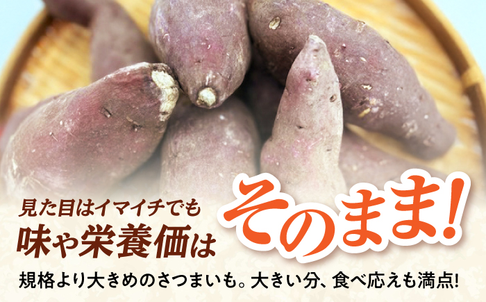 【先行予約】【2026年11月上旬順次発送】【訳あり】島根県GAP認証　さつまいも（シルクスイート）2kg　島根県松江市/フジキコーポレーション株式会社 [ALDS027]