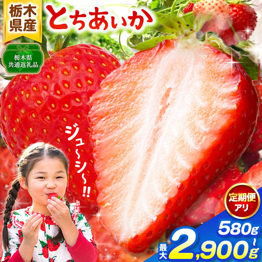 【ふるさと納税】 定期便 限定 いちご 朝獲れ 選べる とちあいか 果物 フルーツ 大粒 新鮮 【2027年先行予約】 食べ比べ 数量 美味しい 果物 共通返礼品 デザート 栃木県共通返礼品 選べる 内容量 とちあいか 580g ～ 2900g | 栃木県 那珂川町 送料無料 ご褒美