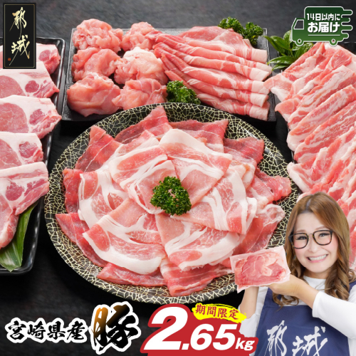 宮崎県産豚わくわく2.4kgセット(真空)≪みやこんじょ快速便≫_14-8406-s-R