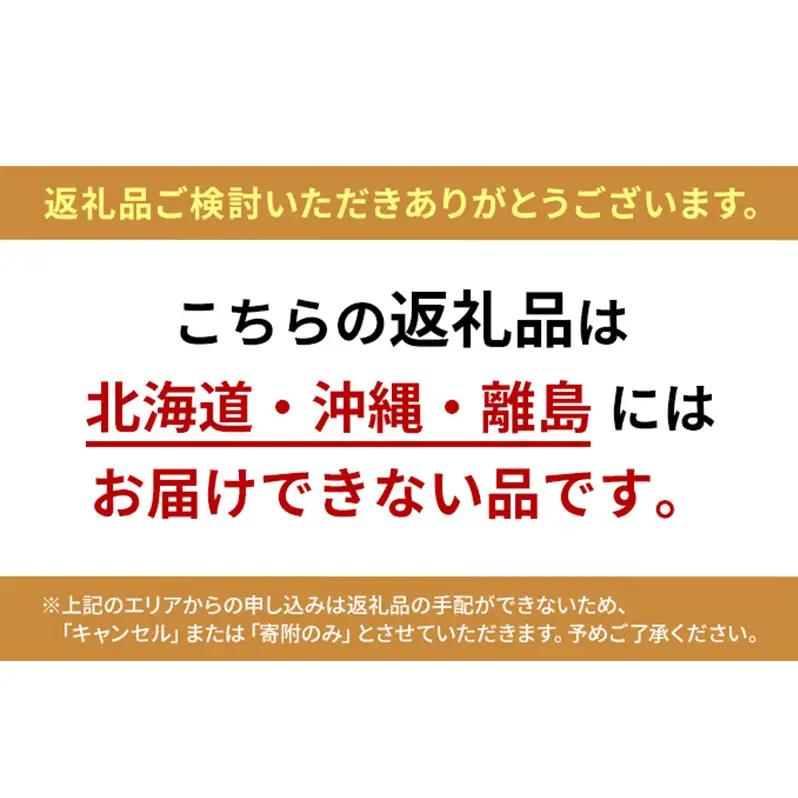 ぶどう 2026年 先行予約 定期便 シャインマスカット 晴王 1房 約600g 7月・8月・9月・10月 4回発送 岡山県産 種無し 皮ごと食べる みずみずしい 甘い 瀬戸内 晴れの国 おかやま 果