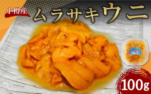 小樽産 ムラサキウニ 塩水生ウニ 100g うに ウニ 生ウニ 雲丹 北海道 小樽市 【2026年5月下旬-8月下旬 発送予定】