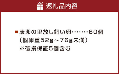 康卵の里「放し飼い卵」 卵60個 宮崎県えびの市産 九州産 国産 玉子 生卵 鶏卵 たまご 破損保証5個含む 送料無料