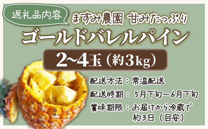 2025年 先行予約 パイン ゴールドバレル 約3kg 2～4玉 ますみ農園 甘み たっぷり パイナップル 果物 フルーツ