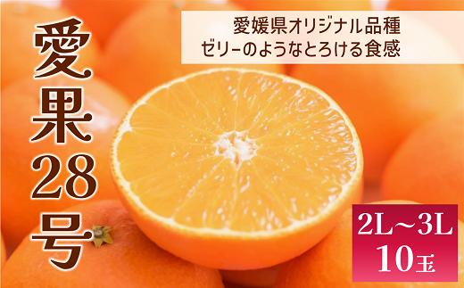 愛果28号 10玉入り 2L〜3L 先行予約 12月以降順次発送予定 愛媛 数量限定 愛媛県産 人気 柑橘 伊予市｜C56