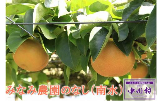 【農家直送】みなみ農園のなし（南水）約５Kg