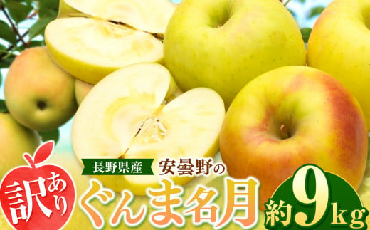 *【2024年 令和6年度発送 先行予約】東印平林農園 訳あり 安曇野の ぐんま名月 約9kg ｜ リンゴ りんご 林檎 果物 フルーツ 果実 果汁 ぐんま名月 ぐんまめいげつ 家庭用 わけあり 訳アリ 長野県 松川村 信州