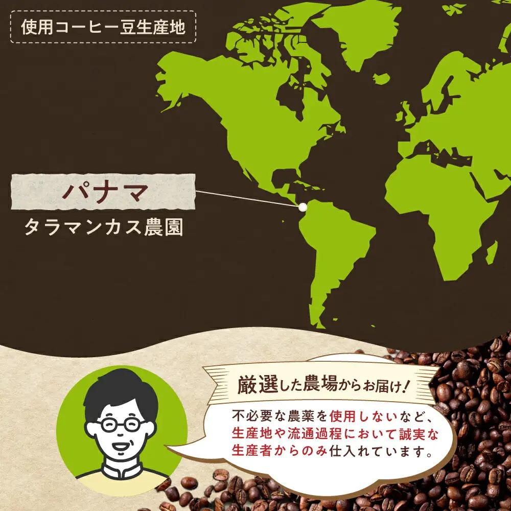 ゲイシャコーヒー(豆)　タラマンカス農園　200g×2 / 珈琲 コーヒー ゲイシャ / Coffee SAKURA[BBAB130]