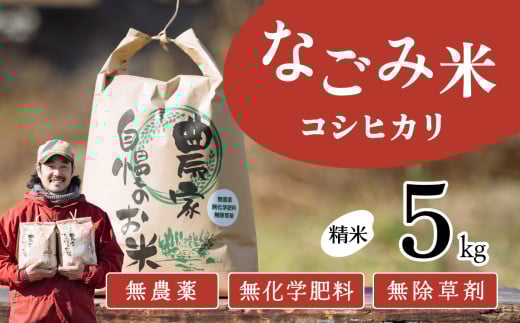【11月発送】茨城県下妻市産 なごみ米（ コシヒカリ ） 精米 5kg 【 お米 コシヒカリ 米 無農薬 無化学肥料 無除草剤 精米 自然 農法 茨城県産 】
