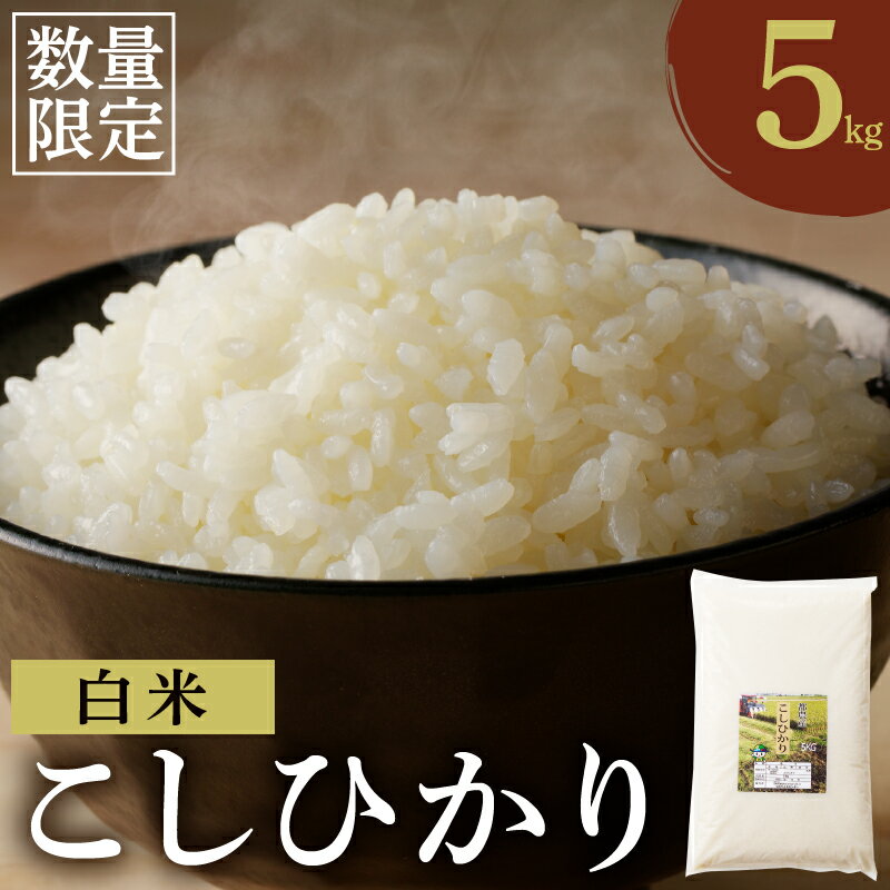 【ふるさと納税】 先行予約 ≪都農町産≫ 新米 コシヒカリ 5kg お米 こめ ご飯 国産 食品 ライス 白米 白飯 主食 エネルギー ごはん おにぎり おむすび 晩ご飯 お弁当 おすすめ 甘い 人気 お試し 精米 グルメ 宮崎県 お取り寄せ 送料無料