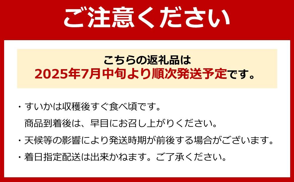 【新潟県南魚沼産】【わけあり】八色原スイカ 小玉２玉