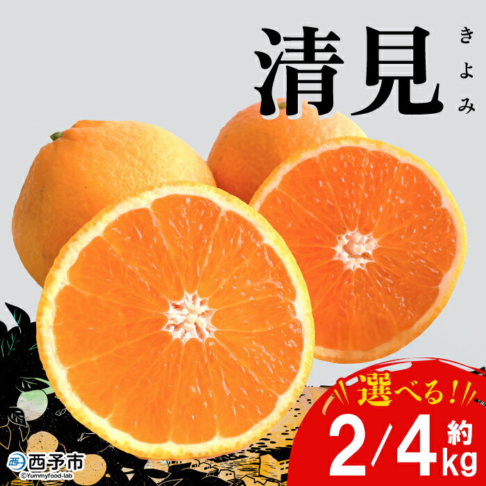 【ふるさと納税】＜おはこやがつくる 清見 約2/4kg（L～3Lサイズ）＞ 果物 くだもの フルーツ 柑橘 きよみ キヨミ きよみたんごーる 清見タンゴール 蜜柑 ミカン みかん 特産品 西宇和 おはこや 愛媛県 西予市 【常温】『2026年3月上旬から3月下旬迄に順次出荷予定』