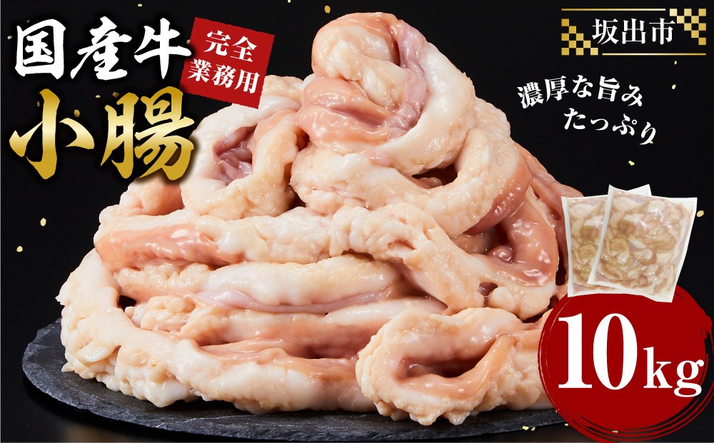 
            《完全業務用》国産牛　小腸　10kg
          