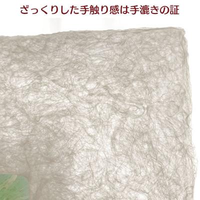 ふるさと納税 あわら市 越前和紙を使った額縁と絵画(和紙ック 小)ルドン「ヴィオレット・ハイマンの肖像」AWATABE |  | 01