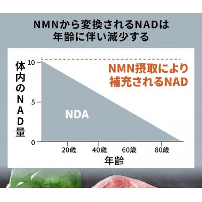 ふるさと納税 伊豆市 家族でシェア!!100年時代応援サプリ　NMN15000×25袋 |  | 01