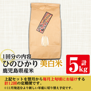 i881-B ＜定期便・計12回(連続)＞≪毎月数量限定≫鹿児島県産米ひのひかり 美白米(計60kg・5kg×全12回)【田上商店】