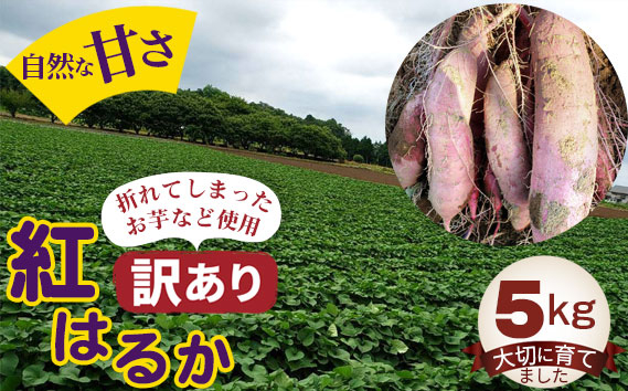 
No.384 【訳あり】紅はるか5kg ／ お芋 甘い さつまいも 茨城県
