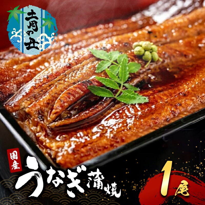 【ふるさと納税】【2025年7月12日より発送】土用の丑の日「国産うなぎ蒲焼」1尾(240g～250g)　お届け：2025年7月12日～末日まで