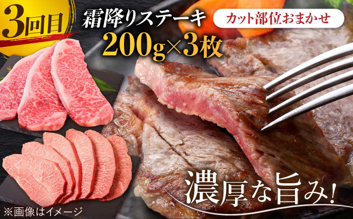 【全3回】旨みじゅわ?♪佐賀牛 霜降り定期便 総計3kg【ミートフーズ華松】 [FAY022]