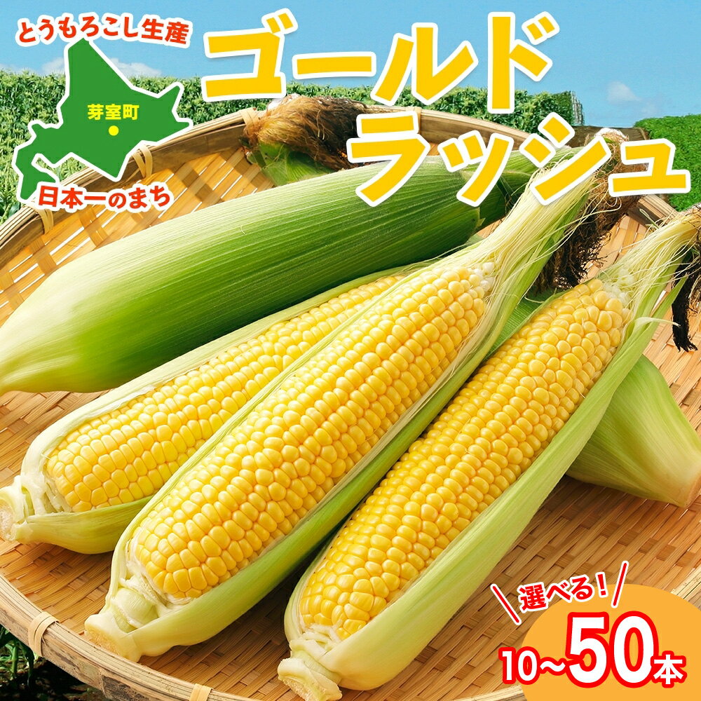【ふるさと納税】【 2025年分 先行予約 】とうもろこし ゴールドラッシュ ( 選べる 10 20 30 50本 ) トウモロコシ コーン とうきび イエローコーン スイートコーン 野菜 新鮮 もぎたて 冷蔵 ギフト プレゼント お取り寄せ 送料無料 【2025年8月発送】北海道 十勝 芽室町