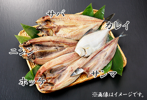 1963. ふっくらやわらか 干物 5点セット 真ホッケ サンマ カレイ ニシン サバ 魚介 海鮮 送料無料 北海道 弟子屈町