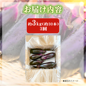 なす 約 3㎏ 約30本 3回定期便 高知県安芸市｜ナス AR008