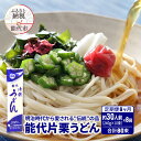 【ふるさと納税】《 定期便 8ヶ月 》 うどん 能代片栗うどん 240g(約3人前)×10束×8回 合計80束 麺 乾麺 鍋 冷たい 温かい ざるうどん 鍋の締め　定期便　お届け：ご入金の翌月中旬頃から、8ヵ月連続でお届けします。