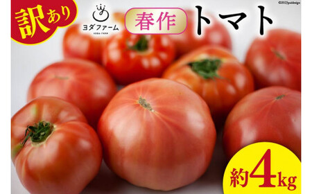 【2026年発送】 春作 訳あり 桃太郎トマト 約4kg [ヨダファーム 山梨県 中央市 21470975] 規格外 家庭用 不揃い トマト とまと 野菜 やさい 4キロ 季節限定 期間限定 産地直送 山梨県産 訳アリ tomato 【2026年4月上旬-6月下旬発送予定】