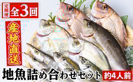 C09002 【3回定期便】魚屋さんの選んだ新鮮お魚詰め合わせ(約4人分) 鹿児島 国産 九州産 産直 産地直送 鮮魚 新鮮 魚 海産物 お刺身 煮つけ 焼き魚【マルケイ水産】