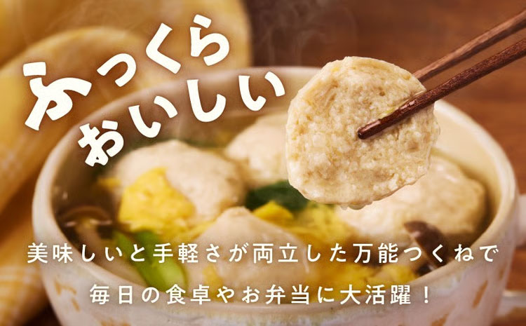【定期便】国産鶏使用 つくね 2kg（500g×4P）全6回【泉州たまねぎ入り 冷凍 惣菜 おかず 弁当 おつまみ 鍋具材】 099Z581
