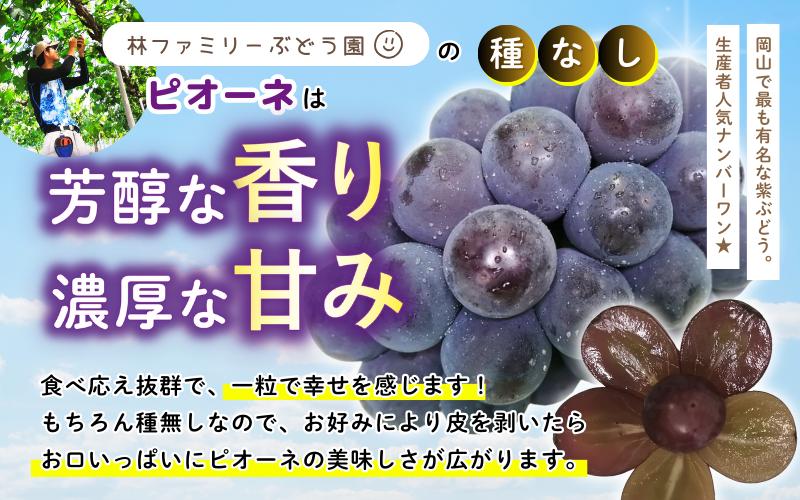 林ファミリーぶどう園の種なしピオーネは芳醇な香り濃厚な甘み