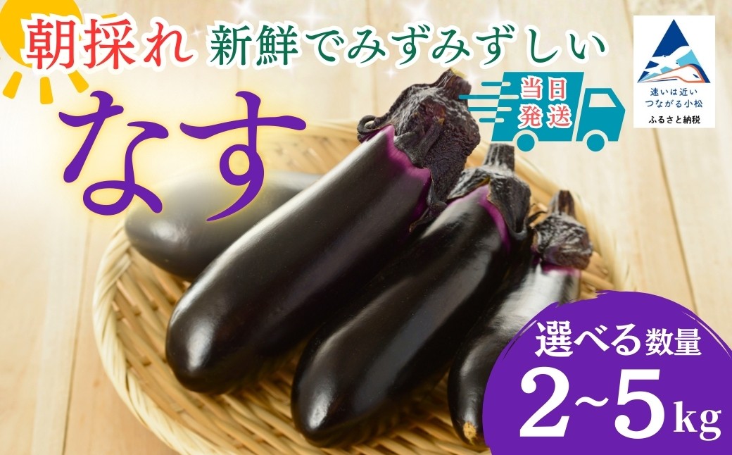 
                  なす【 選べる 】2kg (20個以上) / 3kg (30個以上) / 4kg (40個以上) / 5kg (50個以上) なす ナス 茄子 野菜 | 石川県 小松市 JAあぐり
                