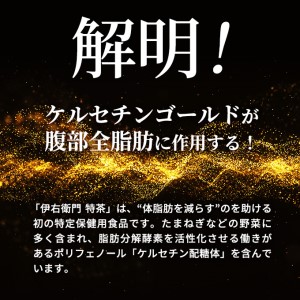 お茶 定期便 3ヶ月 特茶 500ml 24本 お茶
