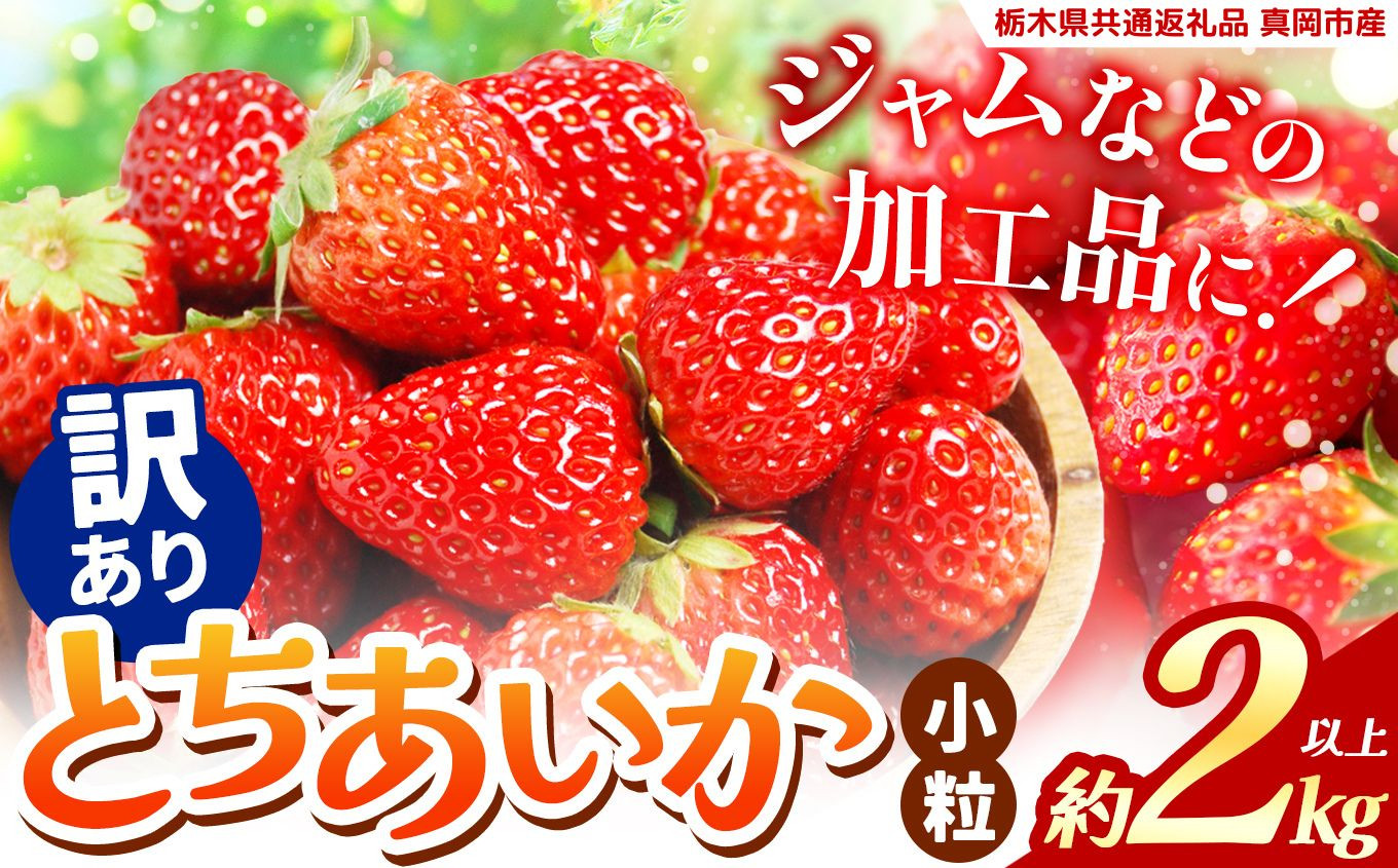 いちご 訳あり サイズランダム とちあいか2kg以上【2027年先行予約】 | 苺 イチゴ 栃木県共通返礼品 真岡市産 栃木県矢板市 【訳あり】 不揃いとちあいか2kg｜16000円