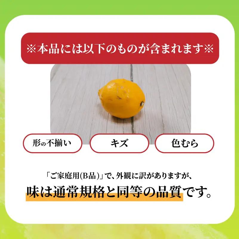 【レモン】 【2027年2月上旬から発送】 家庭用 イエローレモン 約2.5kg 【RNK0112_y】
