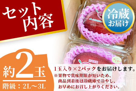 ＜先行予約 【期間数量限定】2024年5月発送 宮崎県産完熟マンゴー2L～3L2玉パック入り＞【MI232-yk】【みまたんよかもん協同組合】