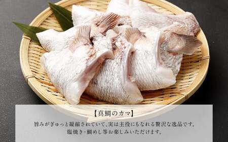 熊本県産真鯛の詰め合わせ【FireshR】 3種 セット 合計11パック