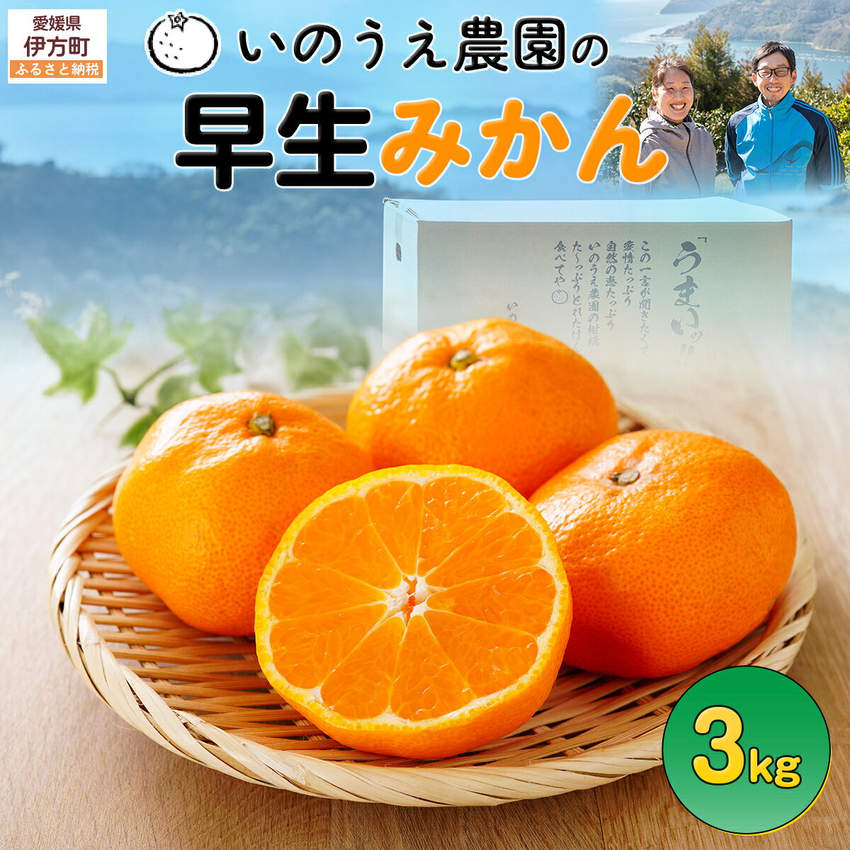 【ふるさと納税】【先行予約】いのうえ農園の早生みかん 3kg ※離島への配送不可（2025年11月中旬より順次発送） 【 ふるさと納税 人気 おすすめ ランキング 柑橘 みかん 蜜柑 早生みかん フルーツ 果物 産地直送 いのうえ農園 愛媛県産 愛媛県 伊方町 送料無料 】 IKTAI008