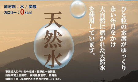 【定期便】（年/隔月）強炭酸水（500ml）2ケース（48本入り）×6回 水・ミネラルウォーター Q077-002