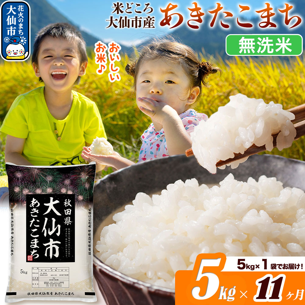 米《定期便11ヶ月》あきたこまち【無洗米】米どころ秋田県大仙市産 あきたこまち5kg（5kg×1袋）