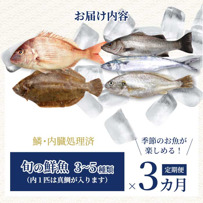 【3か月定期便】瀬戸内産 鮮魚 地魚詰め合わせ（3～5種類）計3回お届け 瀬戸内の天然鯛入り/ 地魚 鯛 天然鯛 真鯛 天然 鮮魚 下処理済 瀬戸内 広島県 三原市　154009