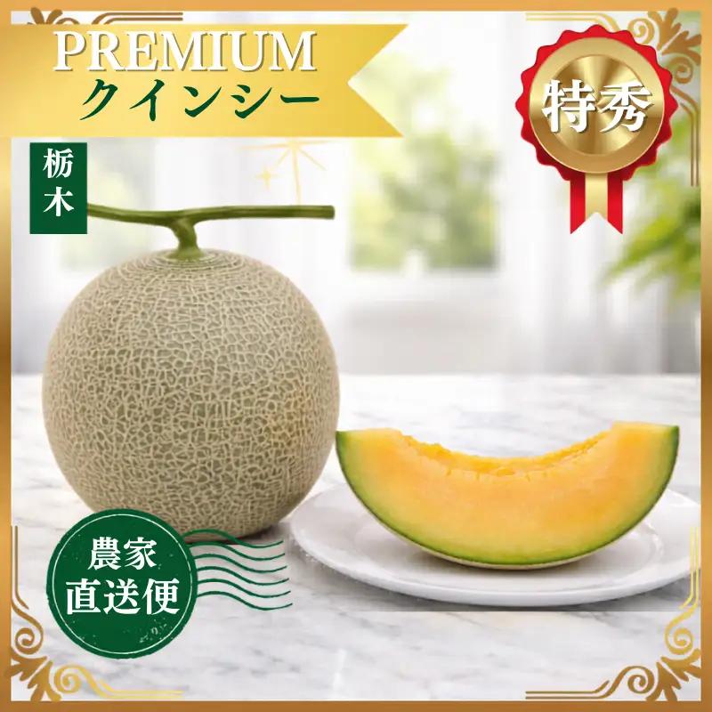 【2027年 先行予約】クインシー 1玉(約1.5kg) | 完熟 果物 メロン