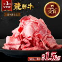 【ふるさと納税】【 3回 定期便 】【 飛騨牛 】切り落とし 総計 1.5kg ( 1回あたり ) 500g ( 250g × 2 ) 牛肉 国産 ブランド牛 和牛 多治見市/肉のひぐち [TDC010]